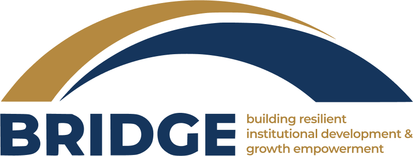 logo_bridge-D2KARVQo